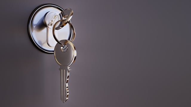 Ontgrendeld: de fascinerende wereld van sloten en sleutels